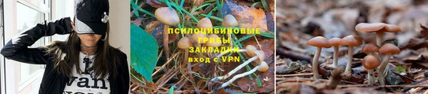 синтетический гашиш Баксан