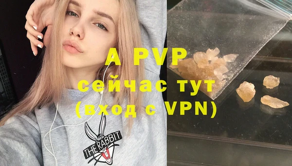 гидра Рославль
