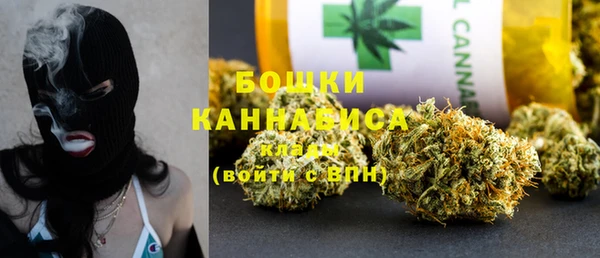 хмурый Дмитровск