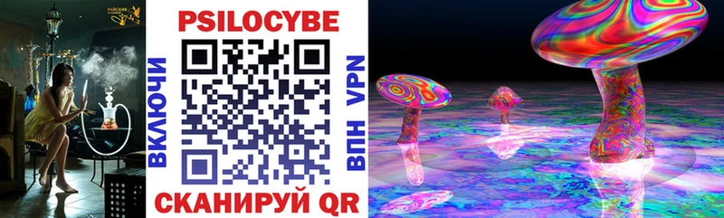 Псилоцибиновые грибы Cubensis  ОМГ ОМГ онион  Шимановск 